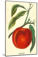 Amsden Peach-null-Mounted Art Print