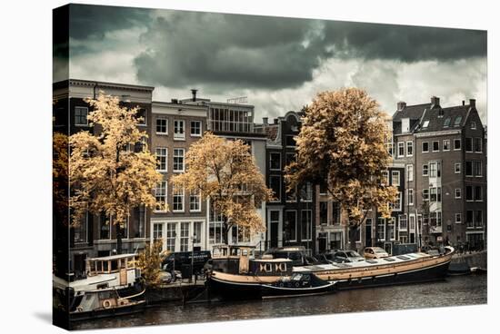 Amsterdam Autumn Colors-Erin Berzel-Stretched Canvas