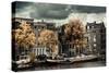 Amsterdam Autumn Colors-Erin Berzel-Stretched Canvas