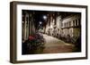 Amsterdam Bikes at Night II-Erin Berzel-Framed Photographic Print