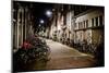 Amsterdam Bikes at Night II-Erin Berzel-Mounted Photographic Print