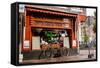 Amsterdam Delicatessen II-Erin Berzel-Framed Stretched Canvas