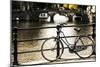 Amsterdam Gray Bicycle-Erin Berzel-Mounted Photographic Print