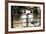 Amsterdam Gray Bicycle-Erin Berzel-Framed Photographic Print