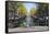 Amsterdam, Netherlands, Europe-Amanda Hall-Framed Stretched Canvas