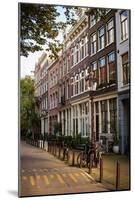 Amsterdam Road II-Erin Berzel-Mounted Photographic Print