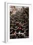 Amsterdam's Fietsflat I-Erin Berzel-Framed Photographic Print