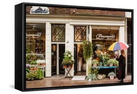 Amsterdam's Fleurmonde-Erin Berzel-Framed Stretched Canvas