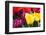 Amsterdam Tulips.-oscarcwilliams-Framed Photographic Print