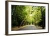 Amsterdam Vondelpark I-Erin Berzel-Framed Photographic Print