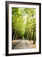 Amsterdam Vondelpark II-Erin Berzel-Framed Photographic Print