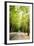 Amsterdam Vondelpark II-Erin Berzel-Framed Photographic Print