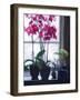 Amsterdam Window, 2021, (acrylic on board)-Helen White-Framed Giclee Print