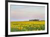 Amtrak Train Passes by Field of Sunflowers in Michigan, North Dakota, USA-Chuck Haney-Framed Photographic Print