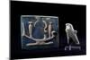 Amulet of the God Horus, Depicted as Hawk and Glazed Clay Plate with Eternity Pots on Funerary Boat-null-Mounted Giclee Print