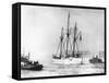 Amundsen's Vessel Returns from the Arctic-null-Framed Stretched Canvas