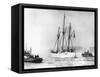 Amundsen's Vessel Returns from the Arctic-null-Framed Stretched Canvas