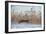 Amur leopard cat leaping past reed bed, Vladivostok, Primorsky Krai, Far East Russia-Valeriy Maleev-Framed Photographic Print