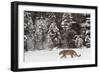 Amur Leopard in winter.-Adam Jones-Framed Photographic Print