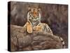 amur tiger on the rocks-David Stribbling-Stretched Canvas