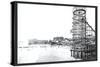 Amusement Park, Long Beach, California-William Henry Jackson-Stretched Canvas