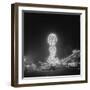 Amusement Park Rides-null-Framed Photographic Print