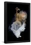 Essential Black