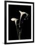Gramercy Black