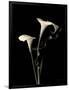 Gramercy Black