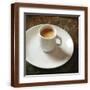 Brown Frame