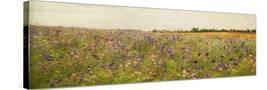 Stretched Canvas