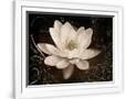 Gramercy White