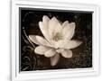 Gramercy White