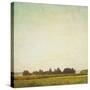 Stretched Canvas