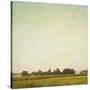 Stretched Canvas