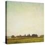 Stretched Canvas