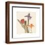 Brown Frame