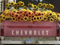 Chevrolet-Amy Sancetta-Framed Stretched Canvas