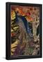 Essential Black