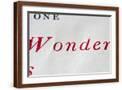 Brown Frame