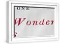 White Frame