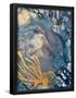 Essential Black