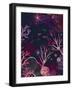 Chelsea Black