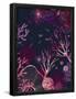 Essential Black