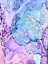 Just the Print
