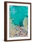 Brown Frame
