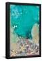 Essential Black