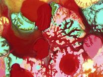 Abstract Floral Fantacy-Amy Vangsgard-Giclee Print