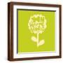 Brown Frame