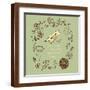 Brown Frame